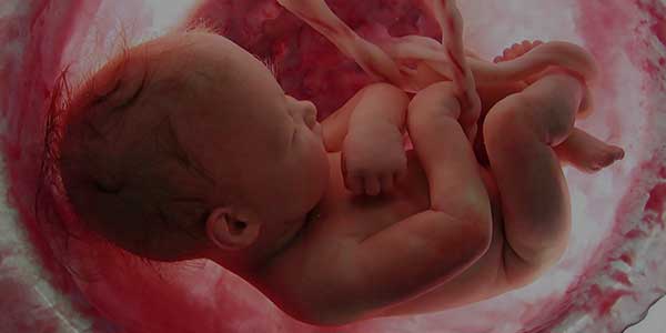 Dr. Rodolfo Carlos Osorio