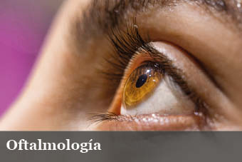 Dr. Marco Daiske Molina Suzuki