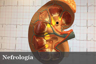 Dr. Freddy Padilla Robles