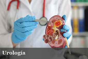 Dr. Fernando Revollo Cervantes