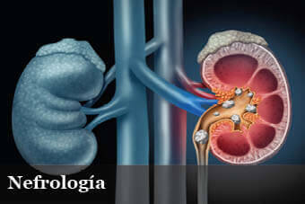 Dra. Maria de los Angeles Teran Zumaran