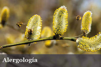 Dr. Rolando Parada Mercado