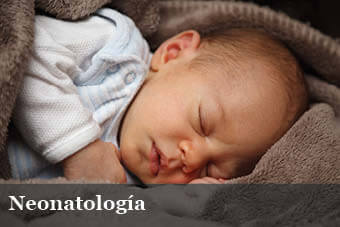 Dra. Esther Yolanda Serrate de Hurtado