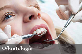 Dra. Madu Ribeiro Knopflmacher