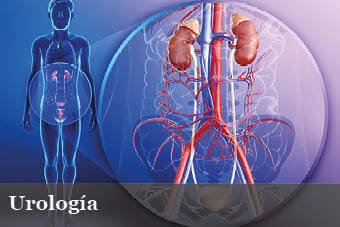 Dr. Jorge Humberto Añez Chavez