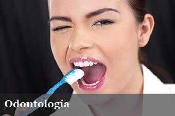 Dra. Jacqueline Micaela Argote Cusi